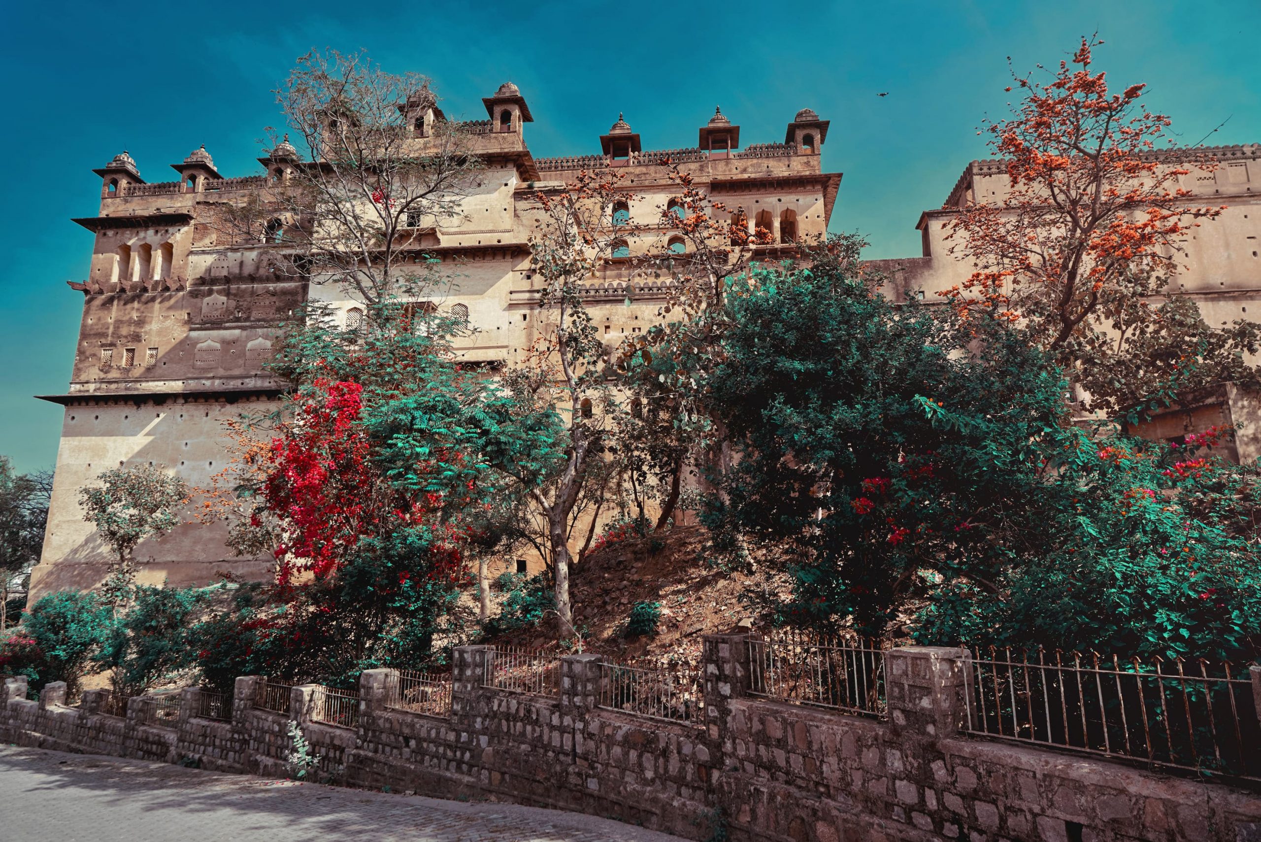 The exterior view of beautifully carved walls of Raj Mahal behind flowering trees, situated in the Orchha Fort complex 
