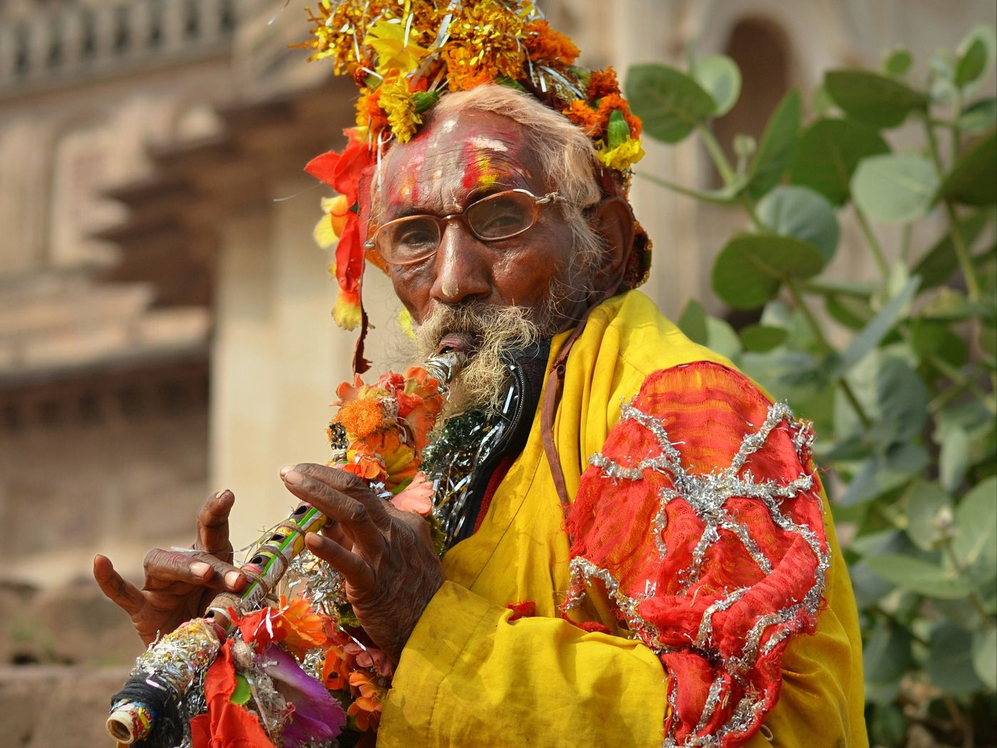A bespectacled sadhu, with a white mustache and a colorful headgear, playing jheeka, a traditional Indian instrument, outside Ram Raja Mandir, Orchha