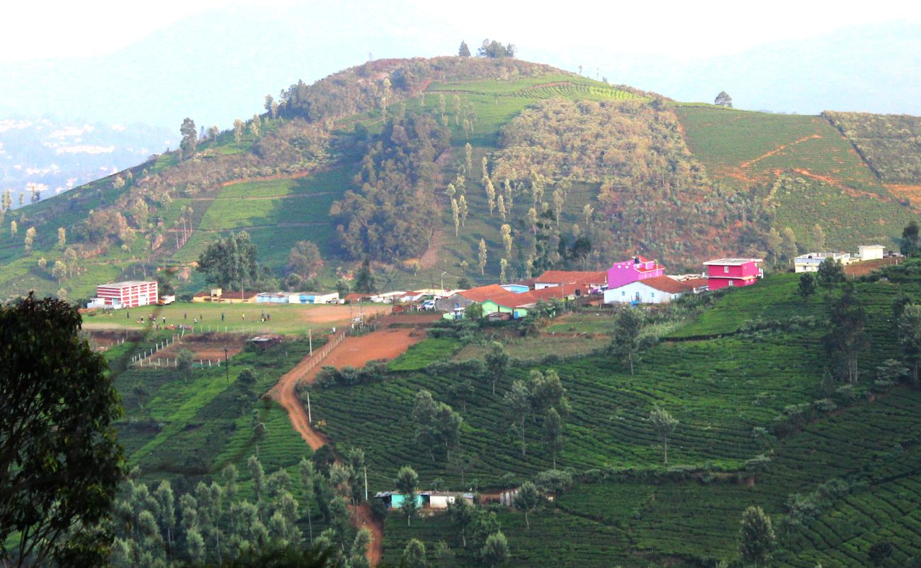 A grand view of Hill village with small huts and beautiful tea estates gardens at the landscapes of Kotagiri, Tamil Nadu, India