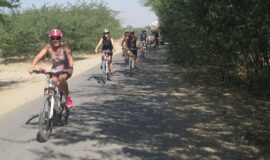 CYCLE THROUGH JAIPUR’S PICTURESQUE COUNTRY SIDE ON A FULL DAY TOUR