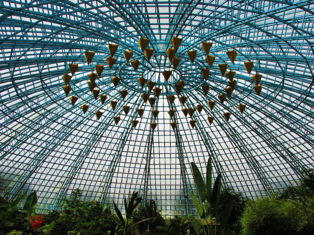 A gigantic view of the inside of the dome of the Butterfly Park at Bannerghatta. It is a feast for the eyes as well as the brain and a circular 10,000 square foot enclosure, a first of its kind in Bangalore 