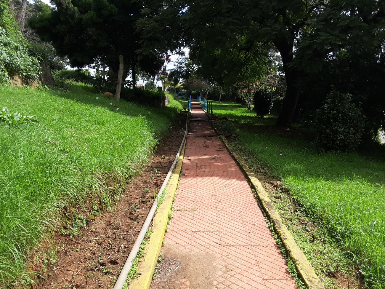 Jogger’s paver block path surrounded by greenery all around, a sight in the noon time at a Park located amidst the Western Ghats on Nilgiris, Kotagiri, India