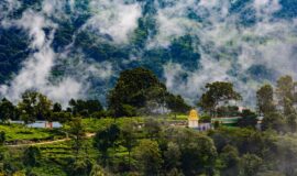 Kotagiri – Blue Mountain