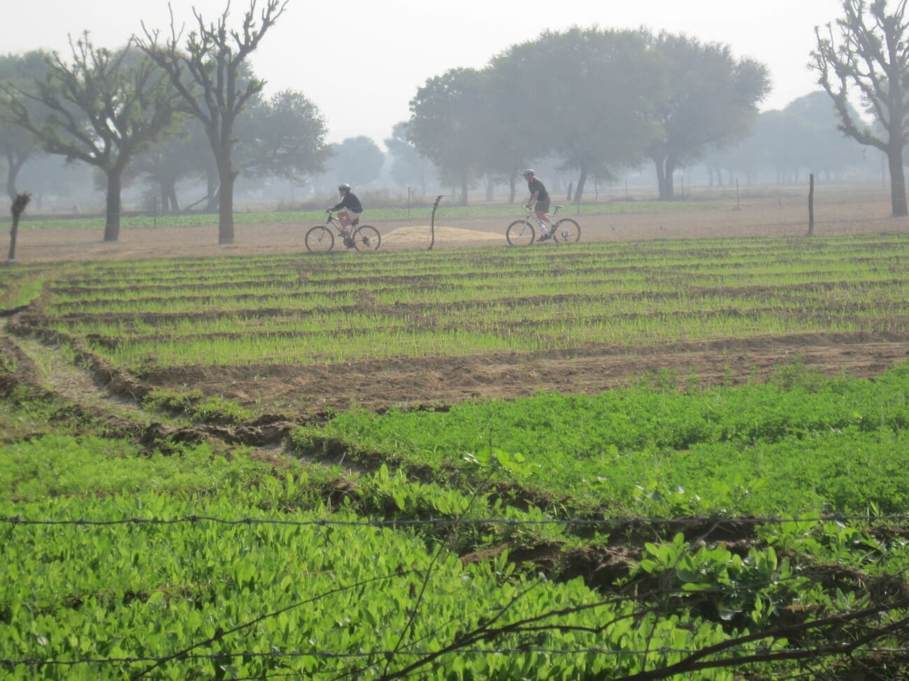 Two cyclists riding through green farmlands