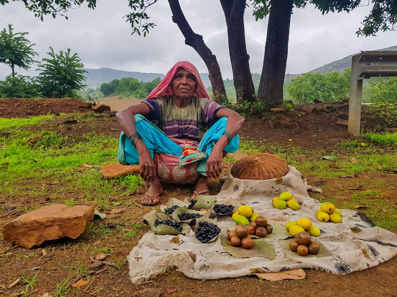An old lady selling her fruit on the roadside outside her village near Nashik
