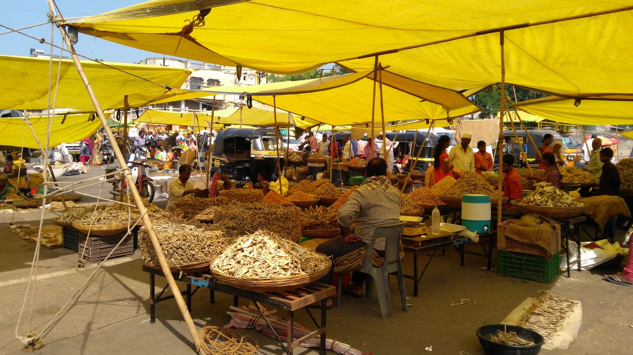 An open-air dry fish market near the ghats of the Godavari River