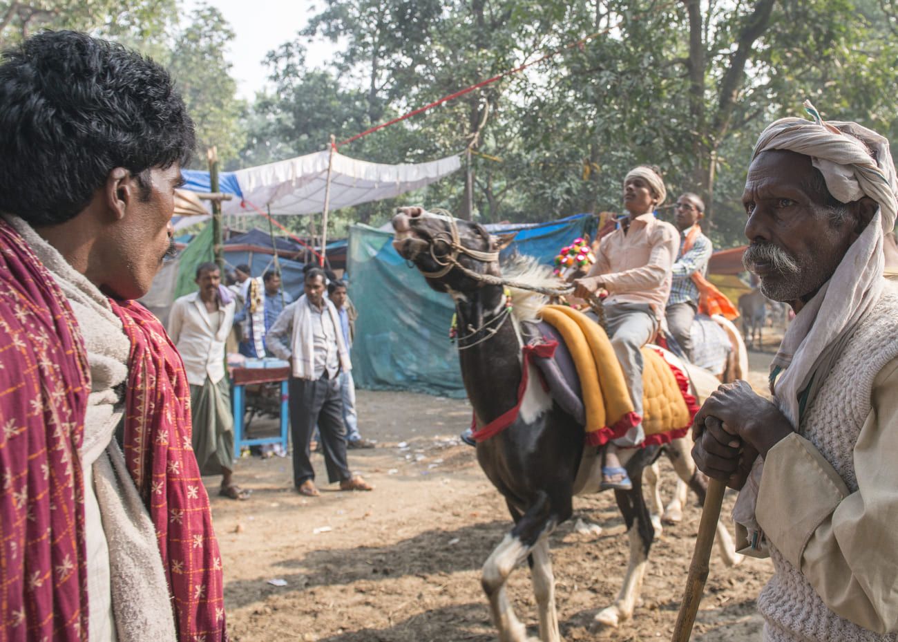 Farm animals make up a large section of the fair, and many horses, cattle, camels, buffaloes, and goats change hands