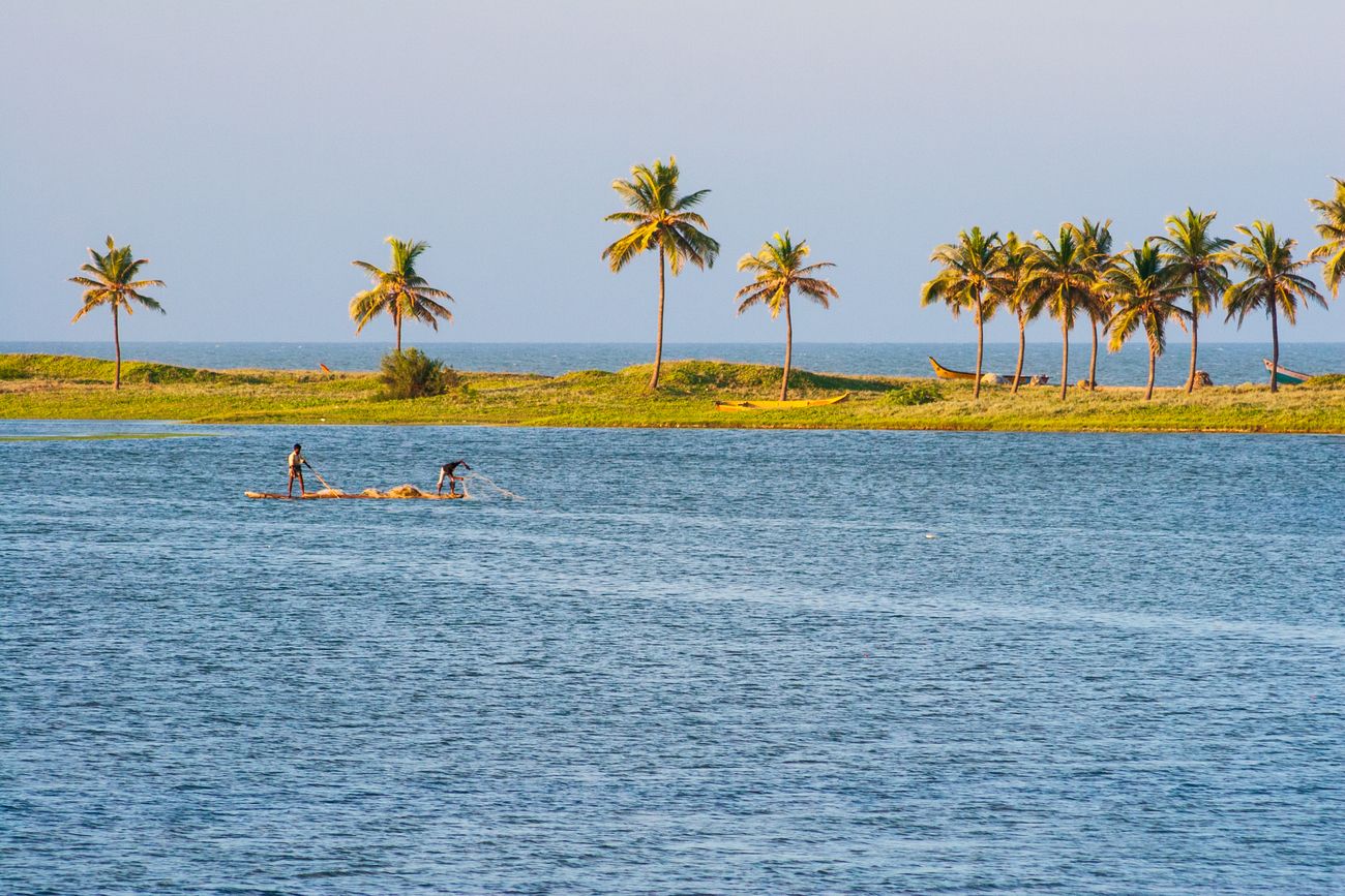 Against a backdrop of palm trees, afternoon fishermen are at work on Chennai’s Buckingham Canal