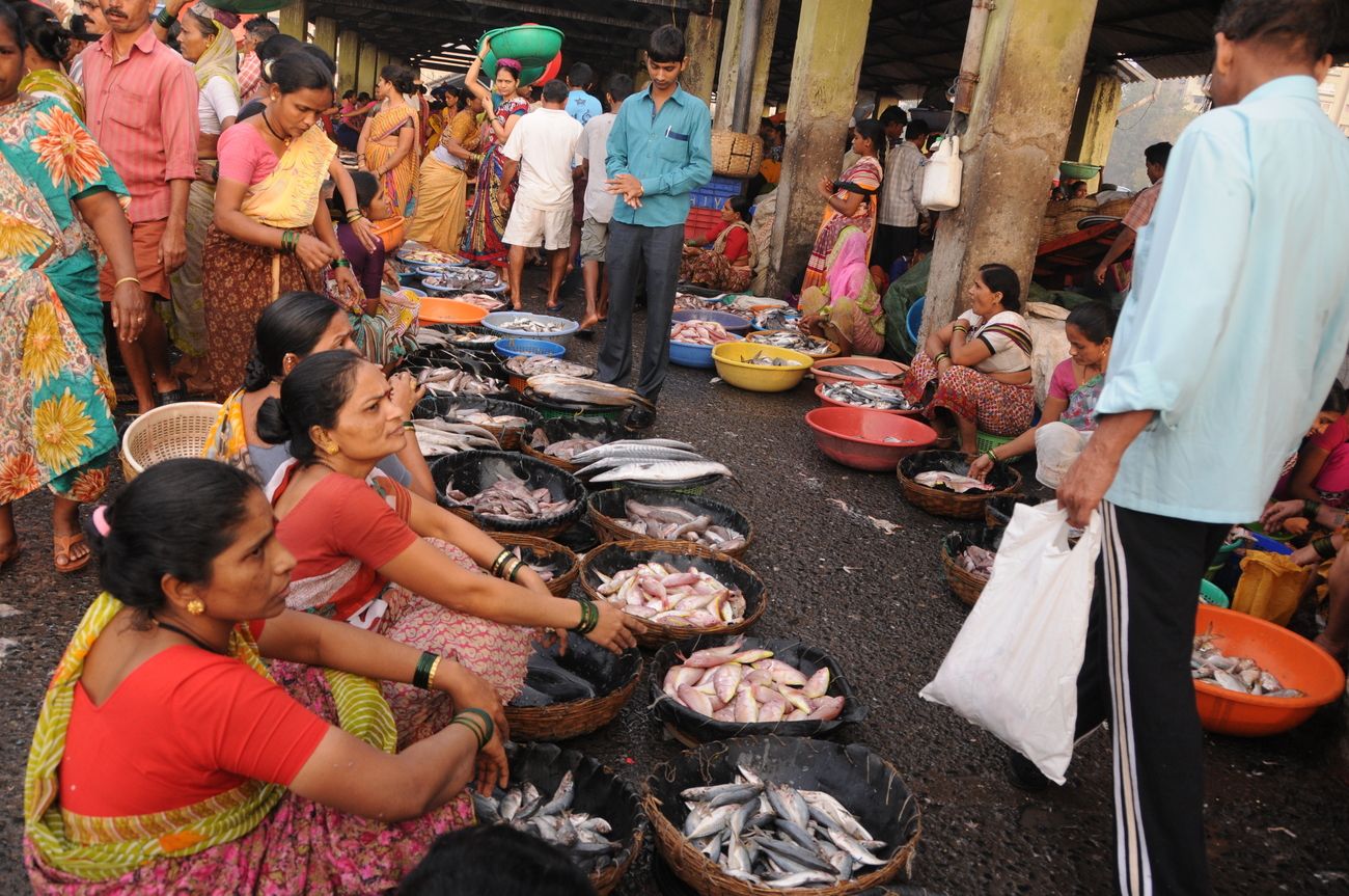 fish market mumbai tour and travel guide
