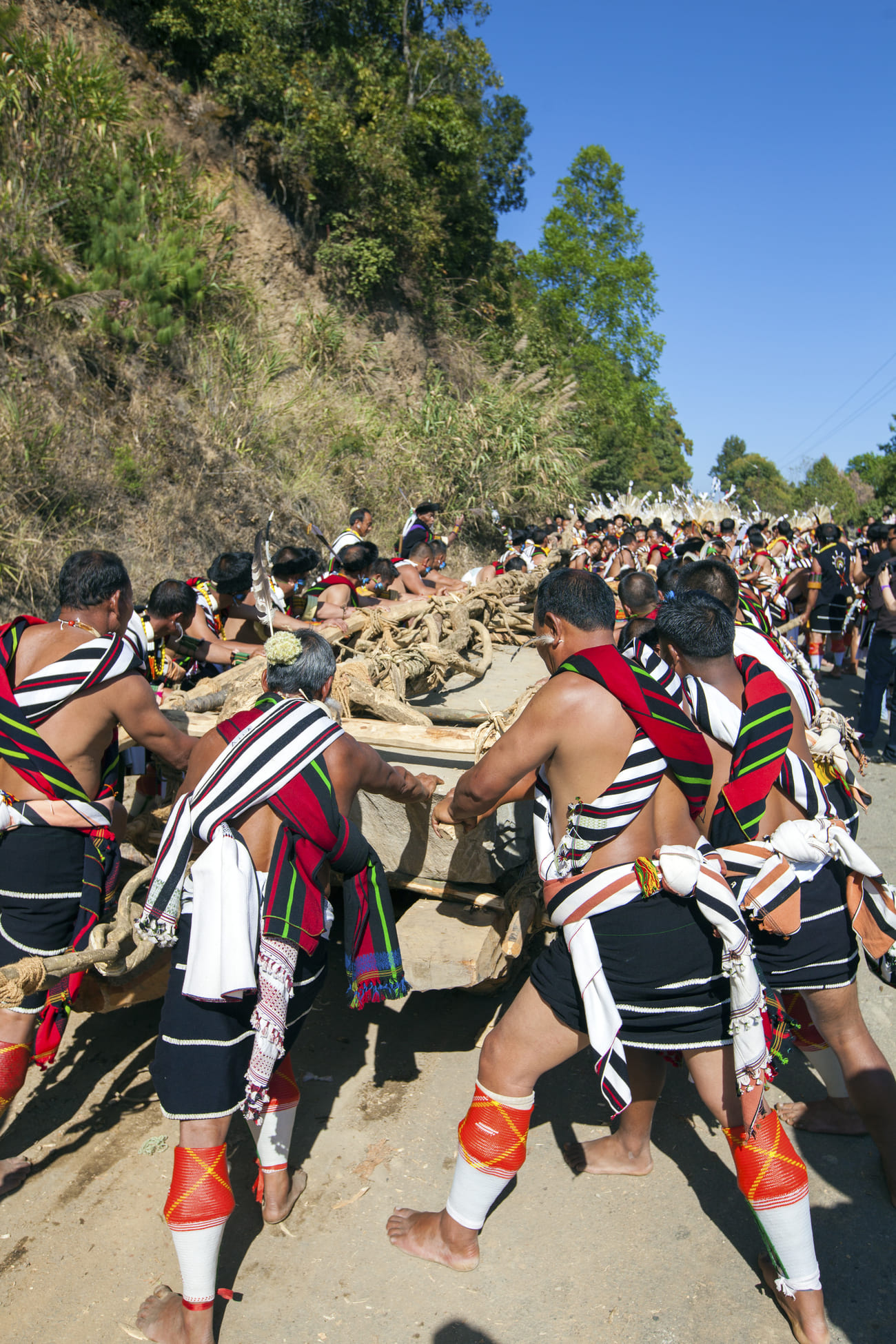 2.Men of the Angami tribe dressed in traditional costume take part in the Stone Pulling Ceremony in the village of Viswema. This ancient tradition has survived through the ages and is still performed today 