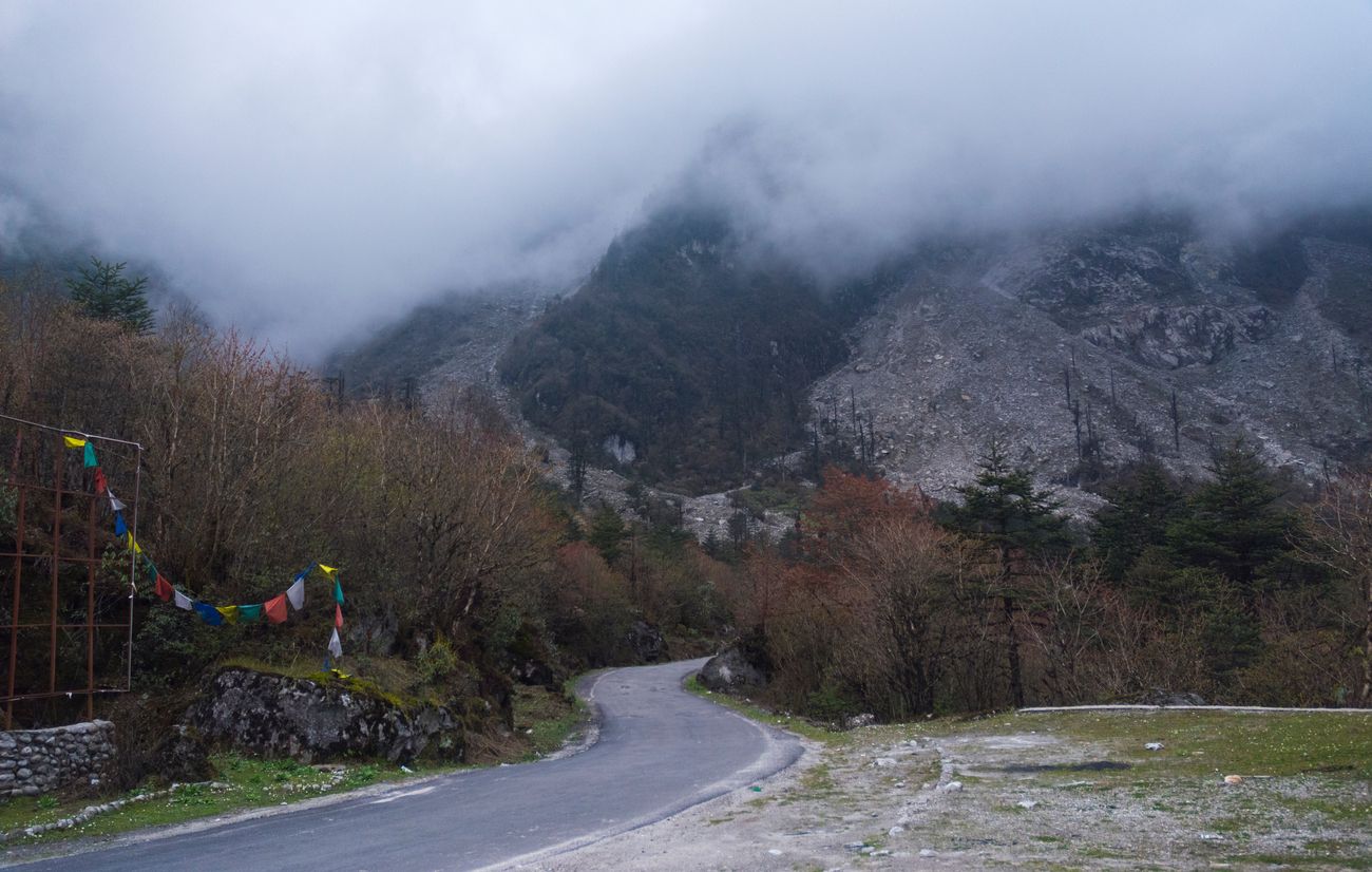 Mist covers the mountains as one enters the Shingba Sanctuary near Yumthang Valley, which is dedicated to the beautiful Rhododendron trees of the landscape