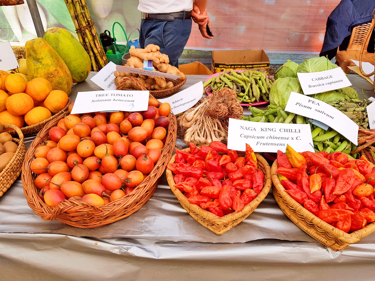 Organic vegetables and fruit displayed at a street store in Kohima during the ten-day long Hornbill Festival 