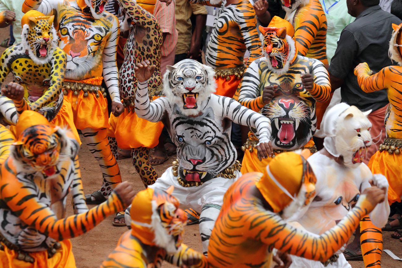 People with bodies painted as tigers take part in the traditional Tiger dance in September 2017, the dance is performed during the Onam festival celebrations.