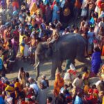 pilgrims waiting for the elephant which they consider sacred