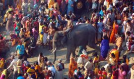 FRIVOLS AND FERVOUR AT THE SONEPUR FAIR