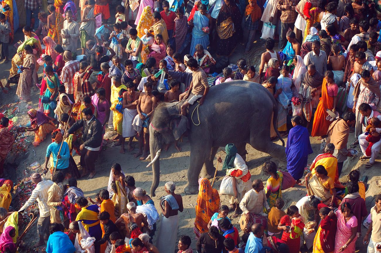 pilgrims waiting for the elephant which they consider sacred