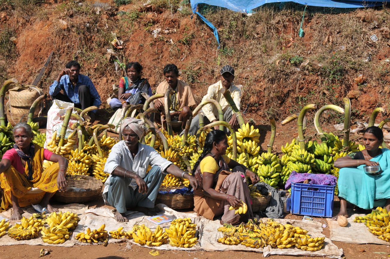 Roadside vendors displaying their harvest of bananas make a colorful picture 