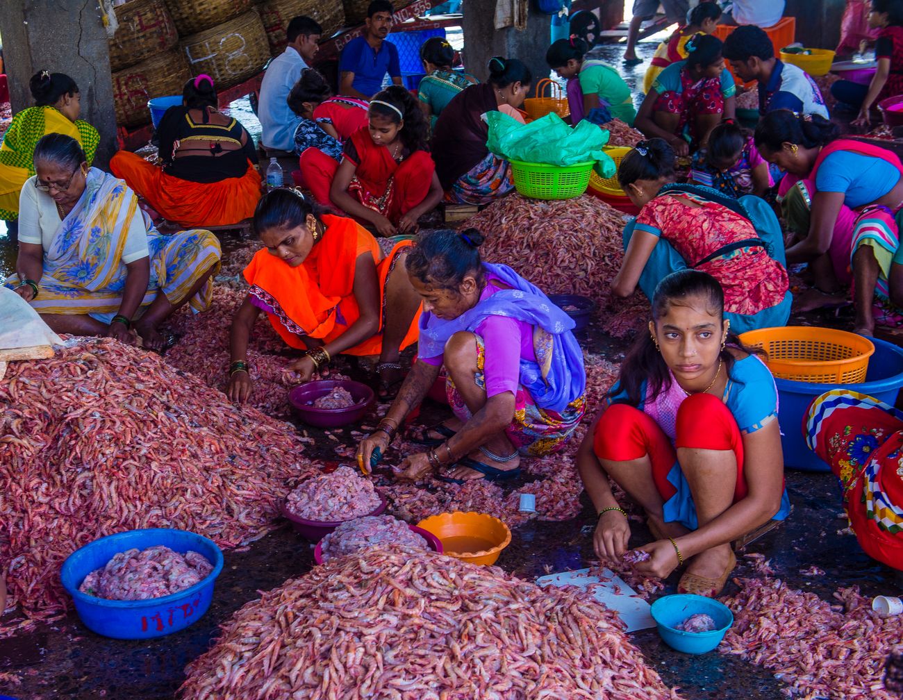 Sasson dock is one of the oldest wet docks and biggest fish market in Mumbai. The Koli Samaj, a very well-known Marathi fishing community is the backbone of this market