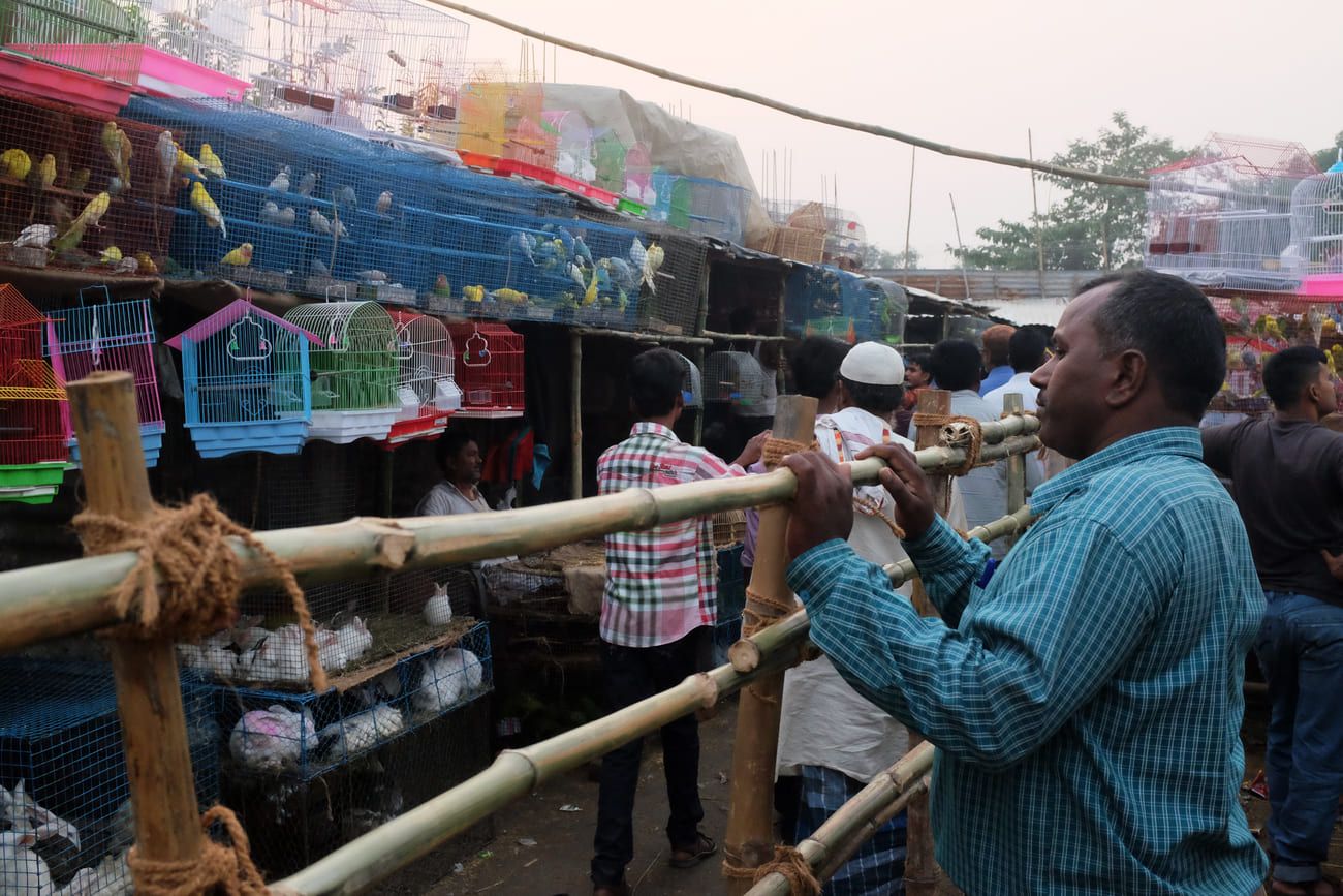Small animals like rabbits and dogs, as well as lots of birds are also sold at the fair