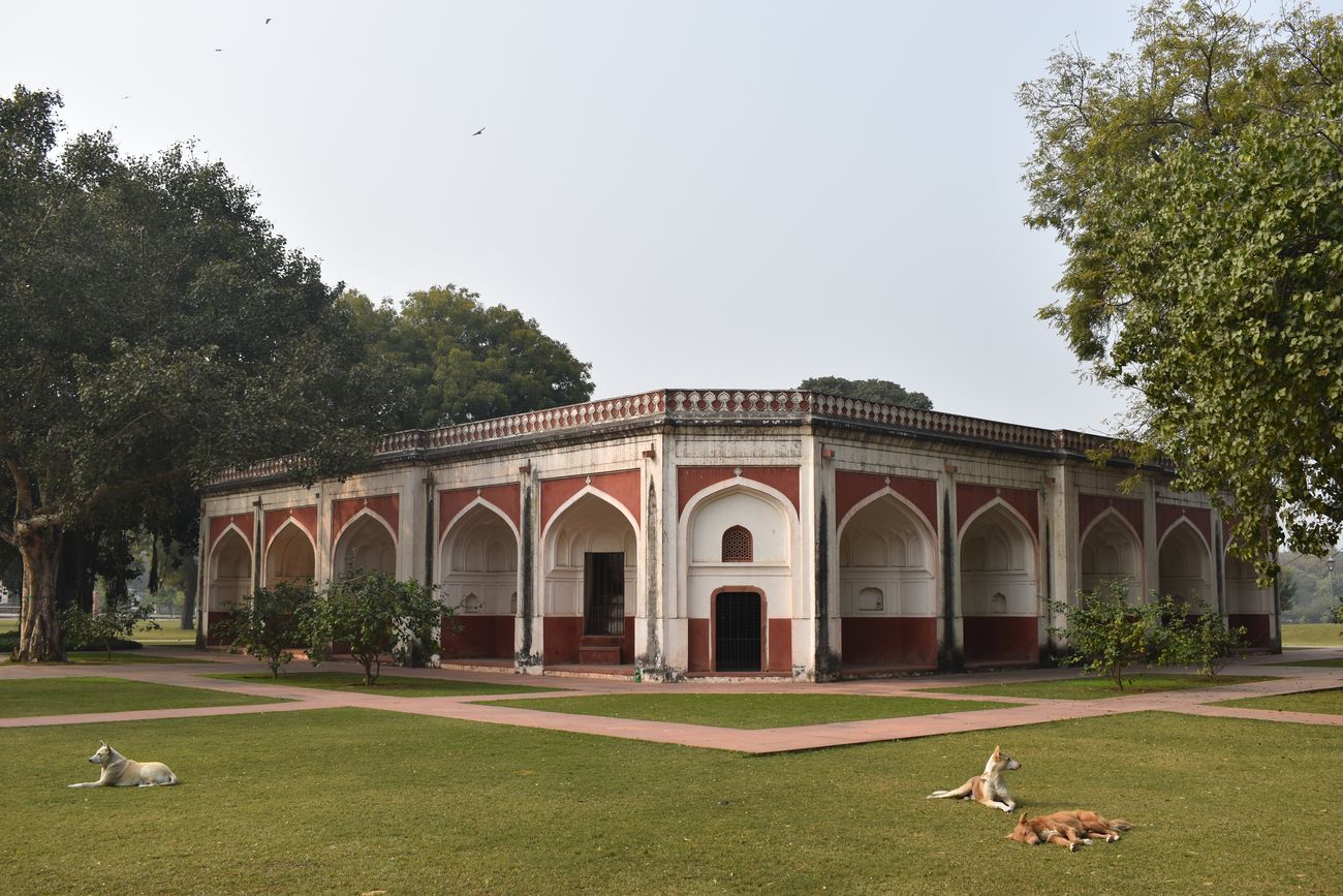 Street dogs laze around outside one of the six monuments in Sunder Nursery that are recognised by UNESCO as Heritage Monuments 