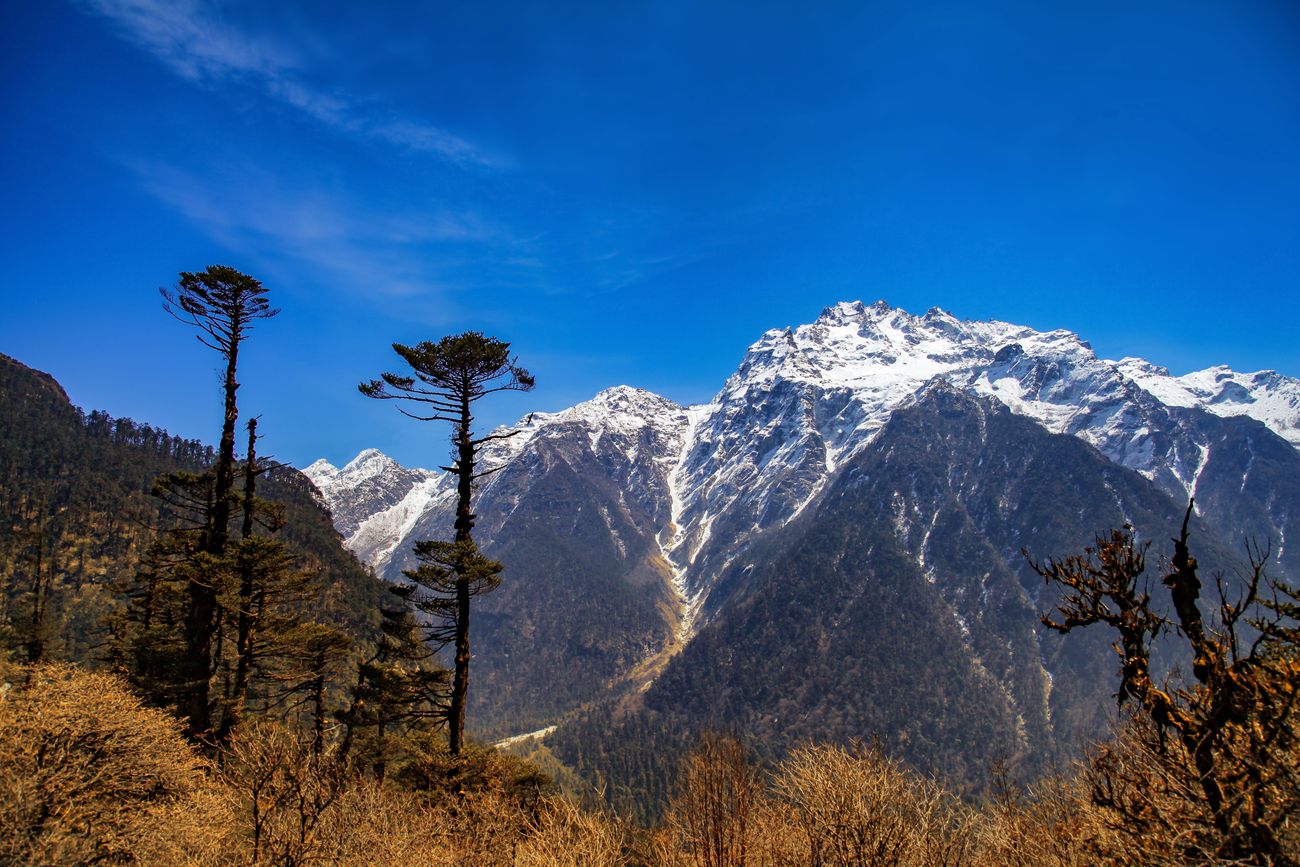 The icy peaks of the Himalayan Range towering in the skies as seen from the Yumthang Valley in Sikkim 