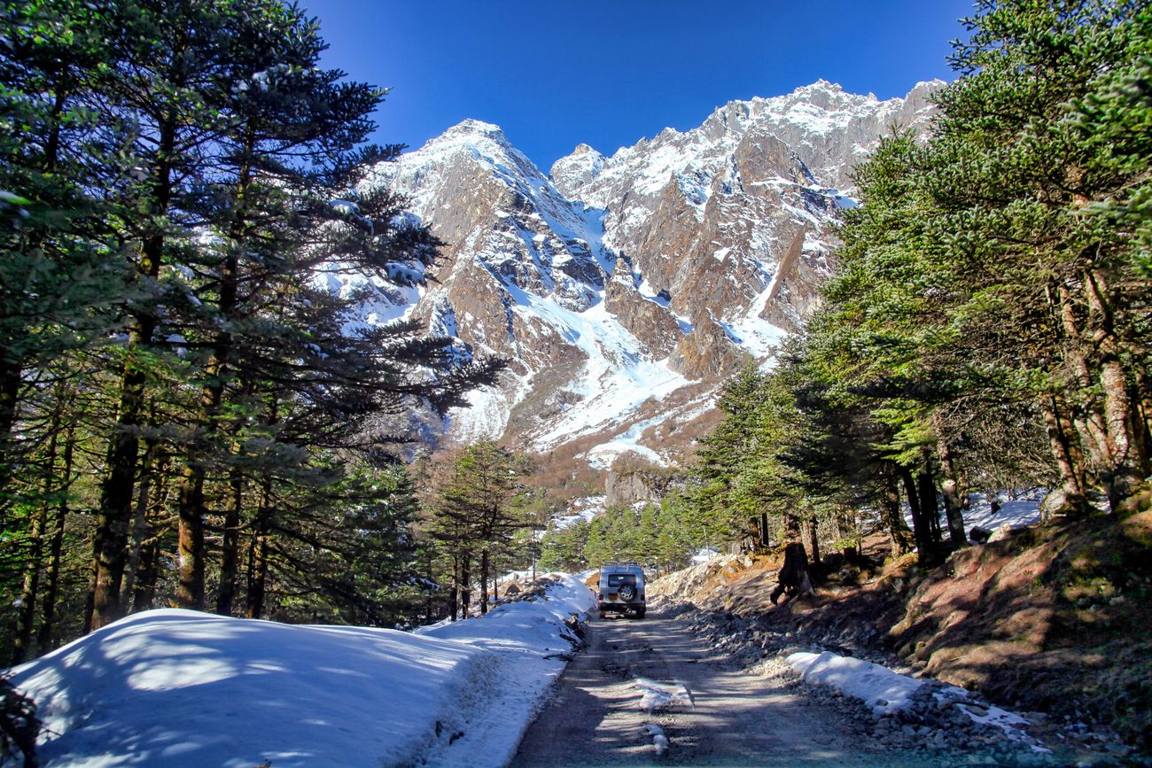 Due to its proximity to the upper Himalayan range, the Yumthang Valley often experiences snowfall, as seen in the picture with snow in the forest of pine trees
