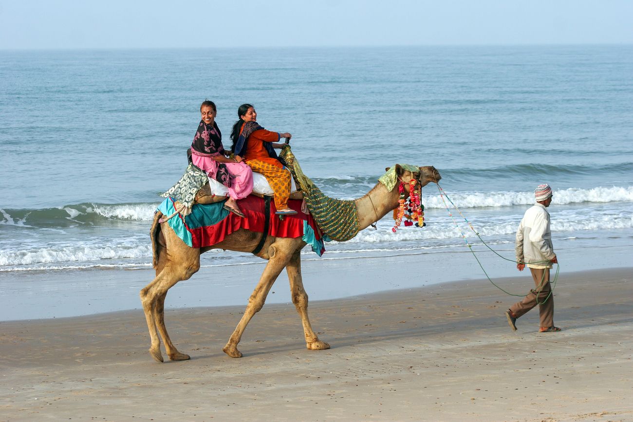 Mandvi has some surprisingly lovely beaches, including the Kashi Vishwanath Beach Tourists take the popular camel ride at the Mandvi Beach in Gujarat as the camel herder guides them through the sand