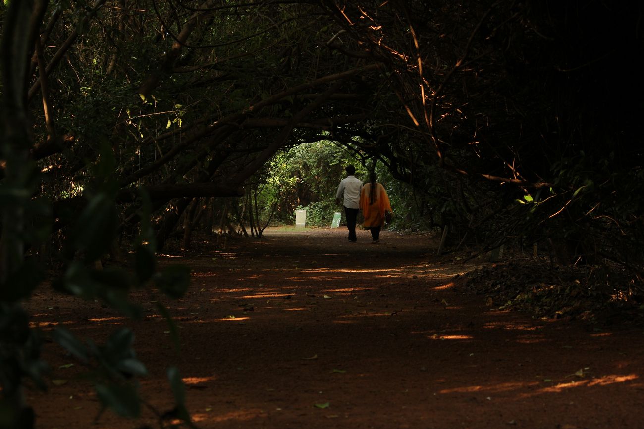 Visitors to the Adyar Tholkappiya Poonga (Adyar Ecological Park) pass through a shadowy tree tunnel. The park was named after the Tamil scholar Tholkappiar