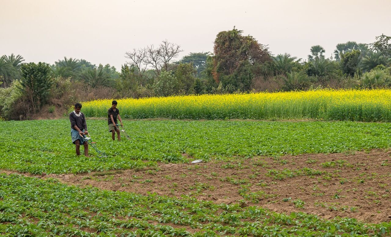 indian farmers