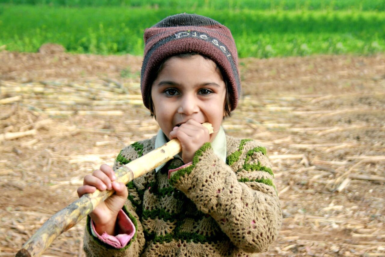 small girl eating sugarcane