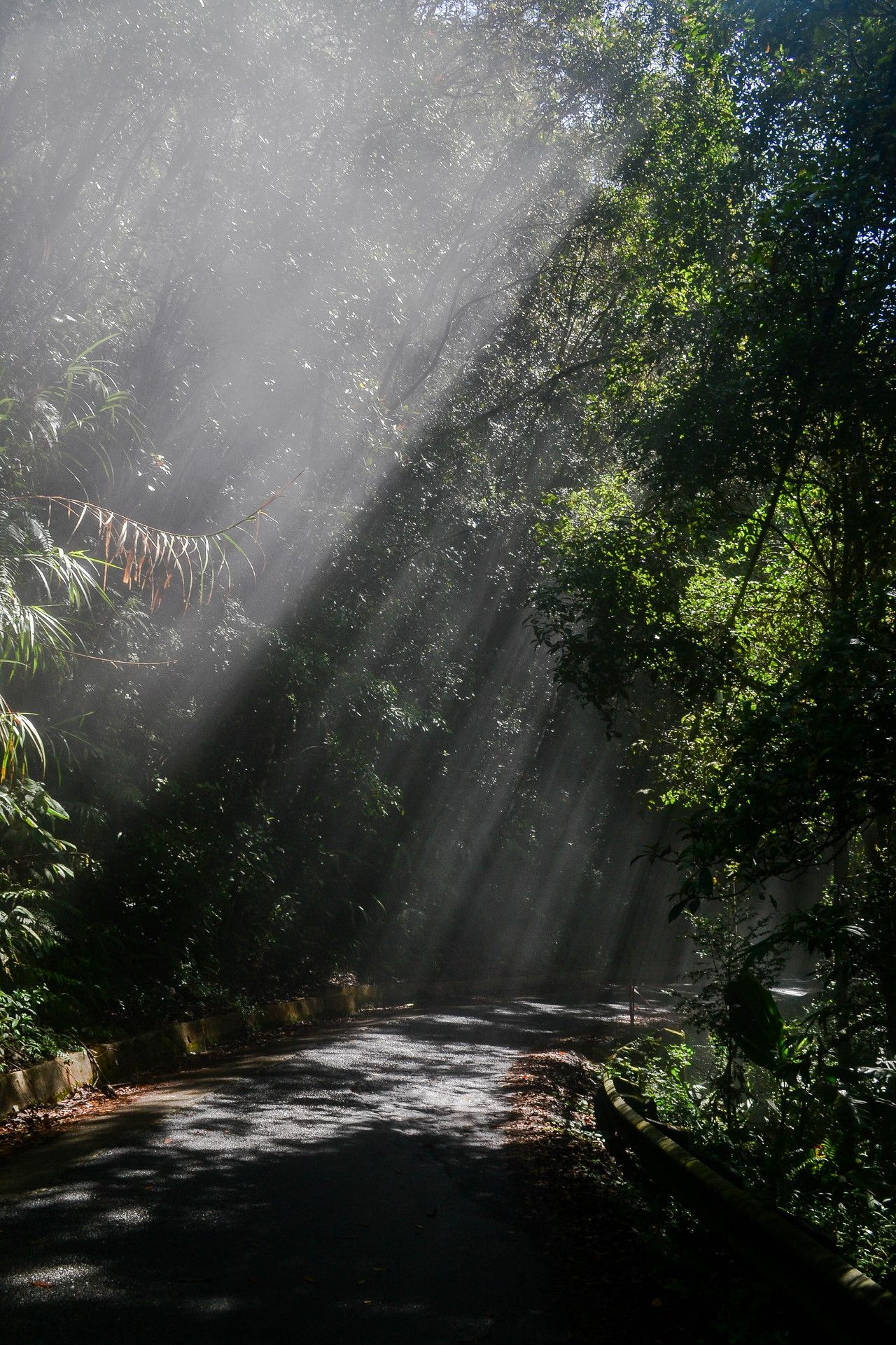 Liesure trip --- Bangalore - TopSlip - Parambikulam Forest