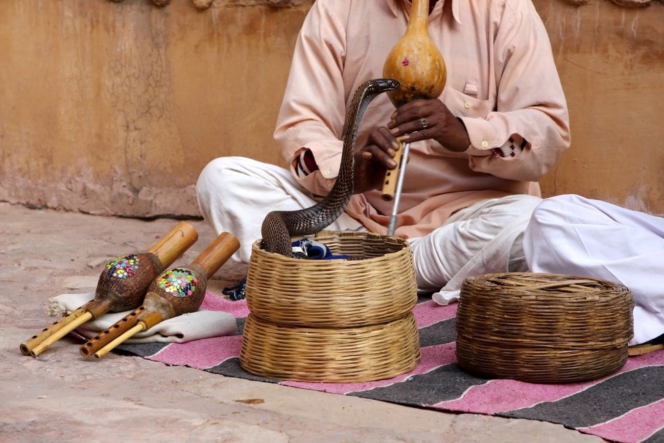 amber fort in jaipur