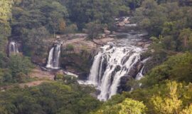 Hiking to the Thoovanam Waterfalls in Munnar’s Chinnar Wildlife Sanctuary