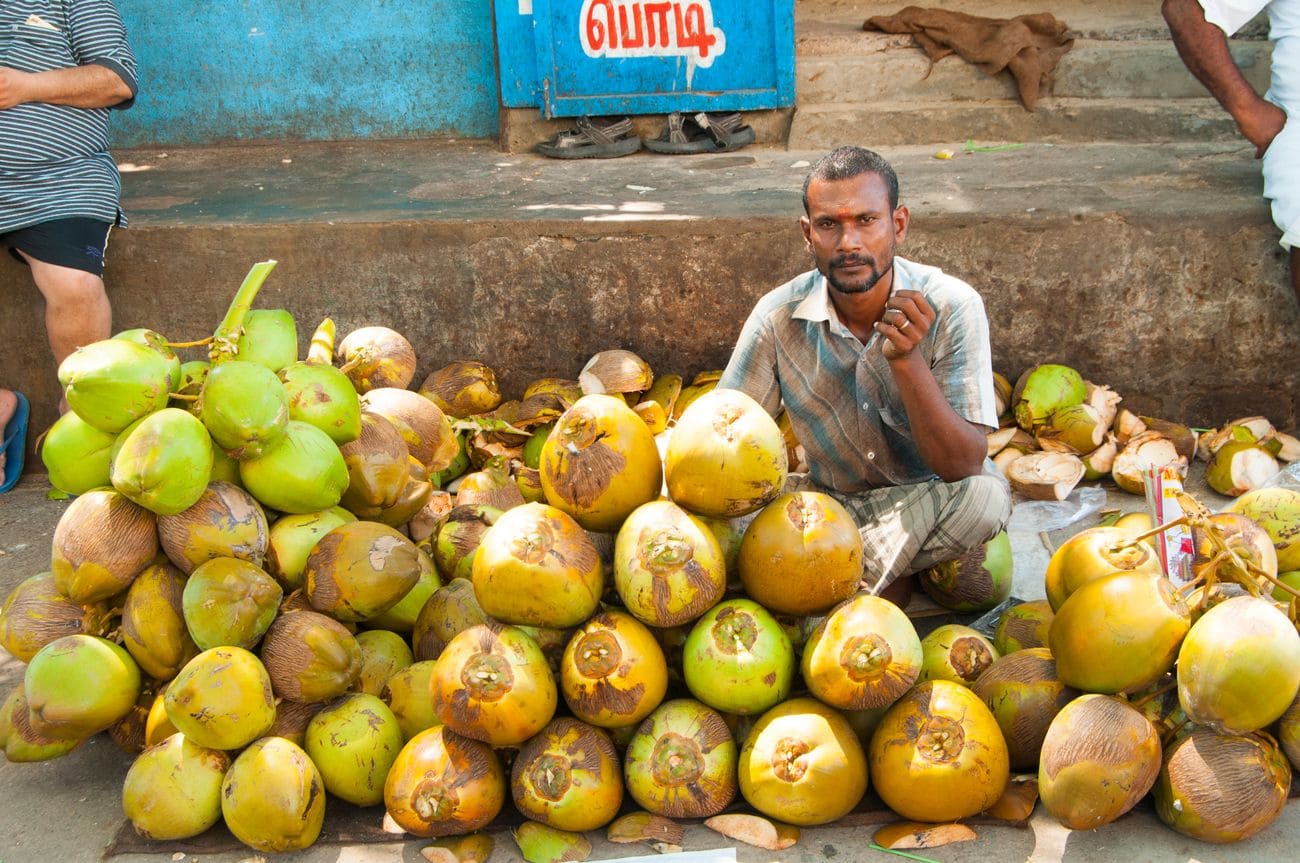 Street vendors selling coconut ,mahabalipuram