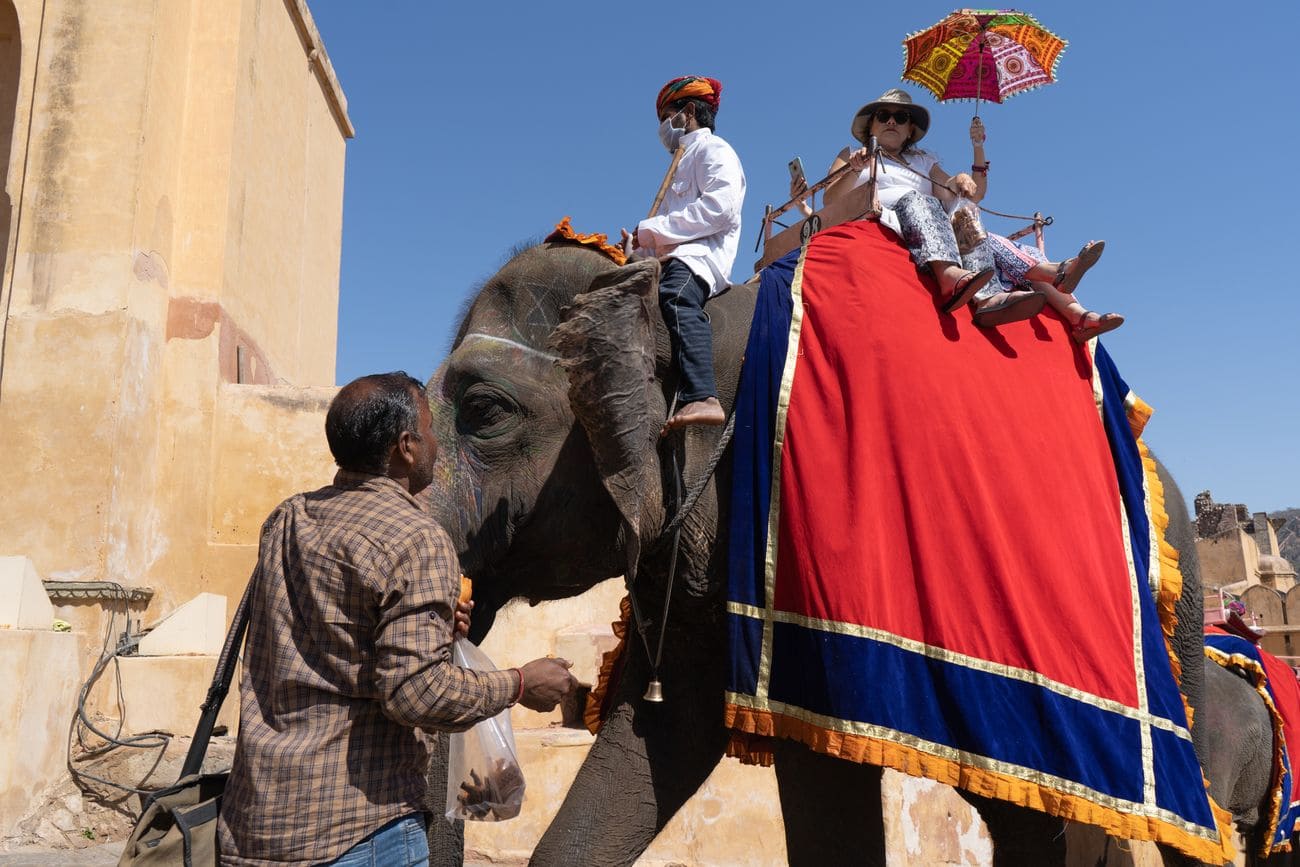 amber fort in jaipur