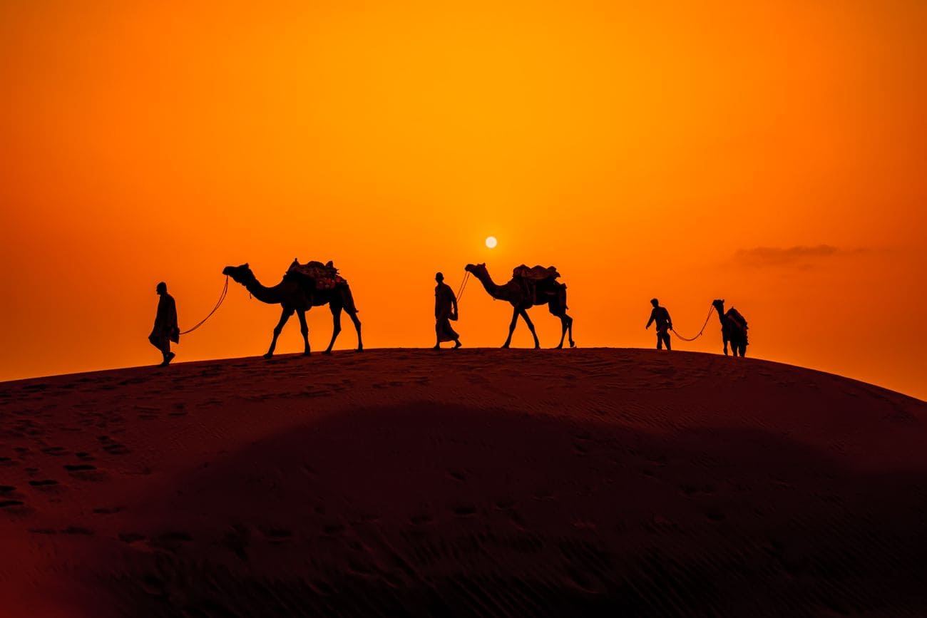 sun set in desert