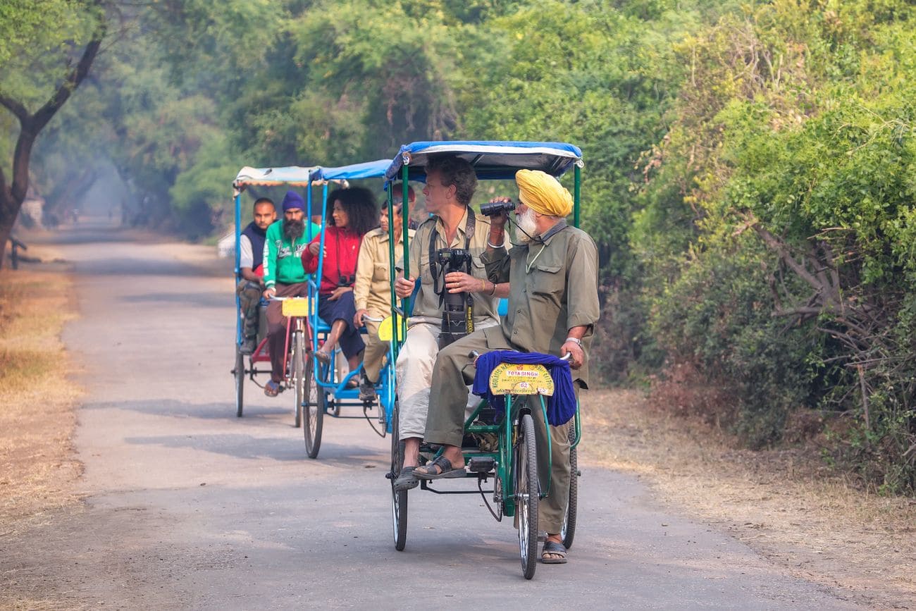 Keoladeo Ghana National Park in Bharatpur,