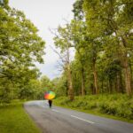 4 road Kabini and Nagarhole National Park