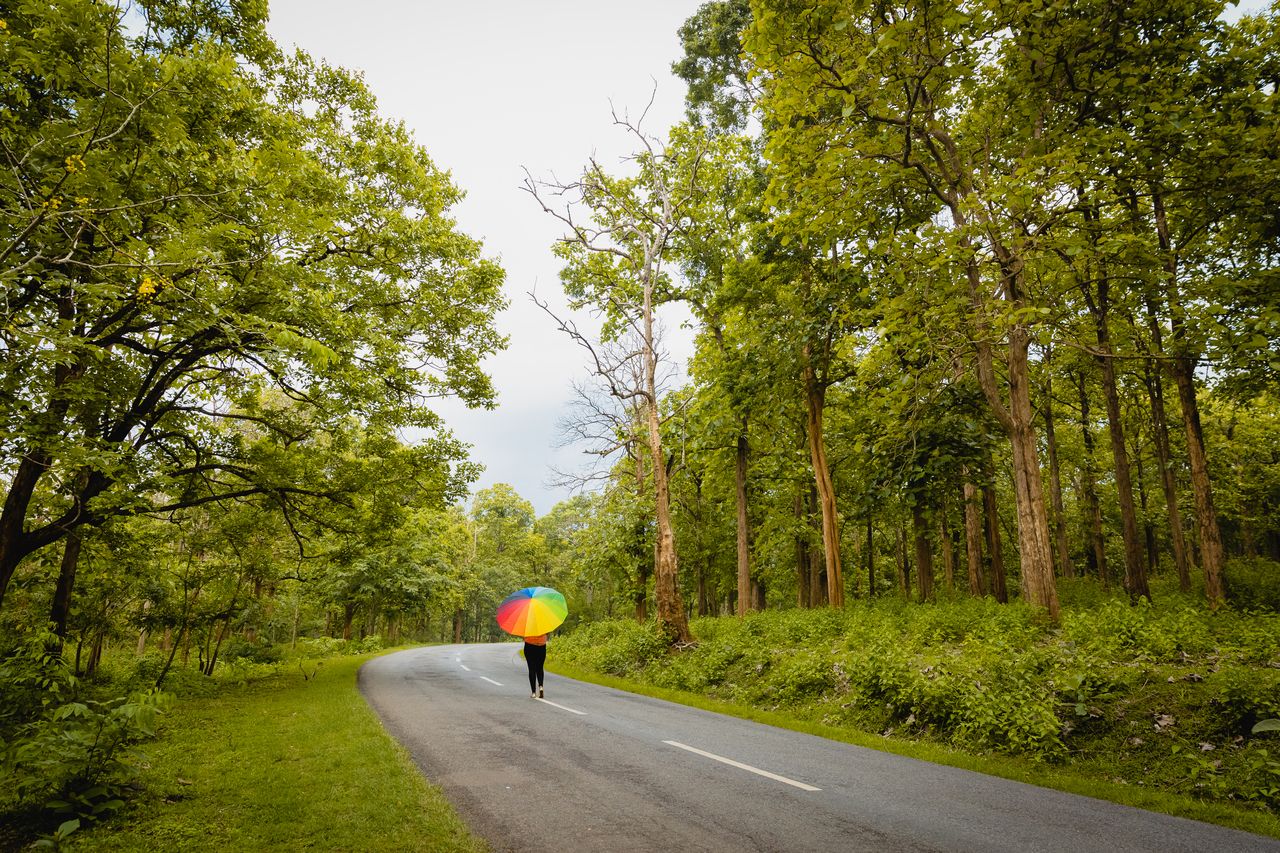 4 road Kabini and Nagarhole National Park