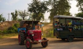 4-Wheel Jeep Safari in the Nagarhole National Park