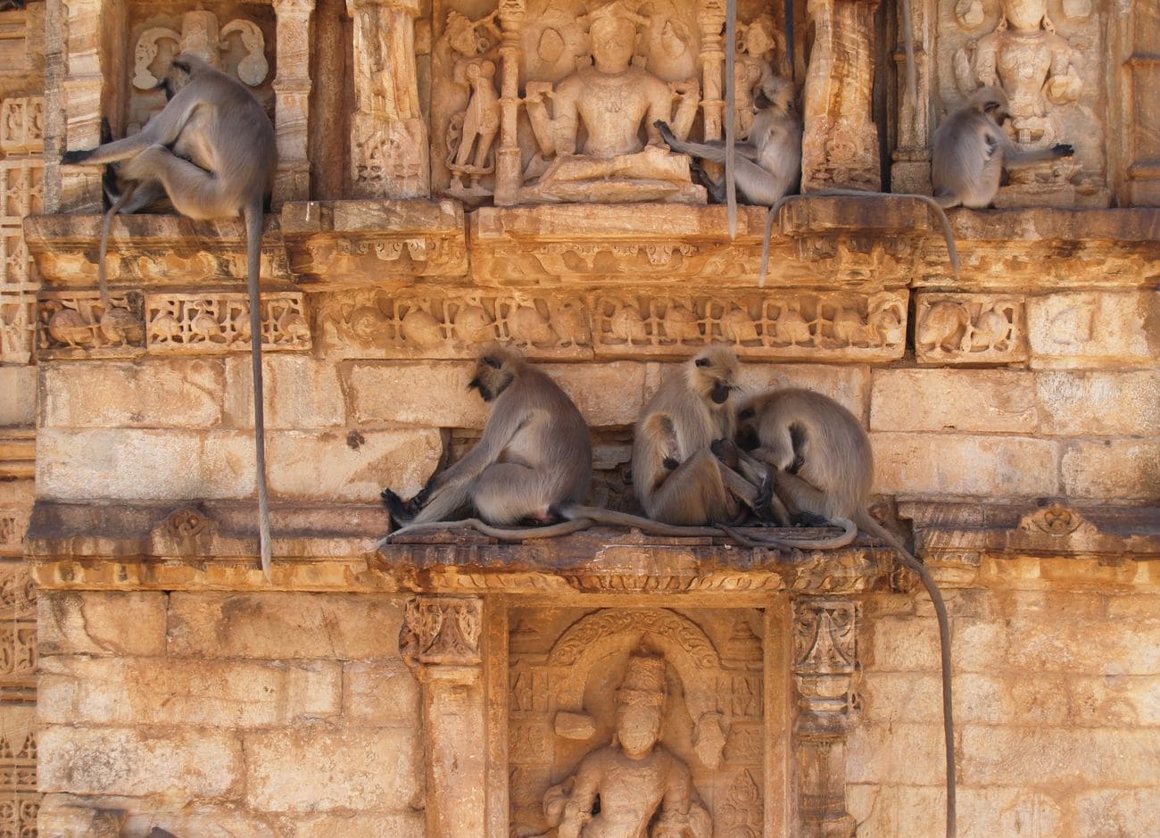 stone carvings of the Chittorgarh Fort