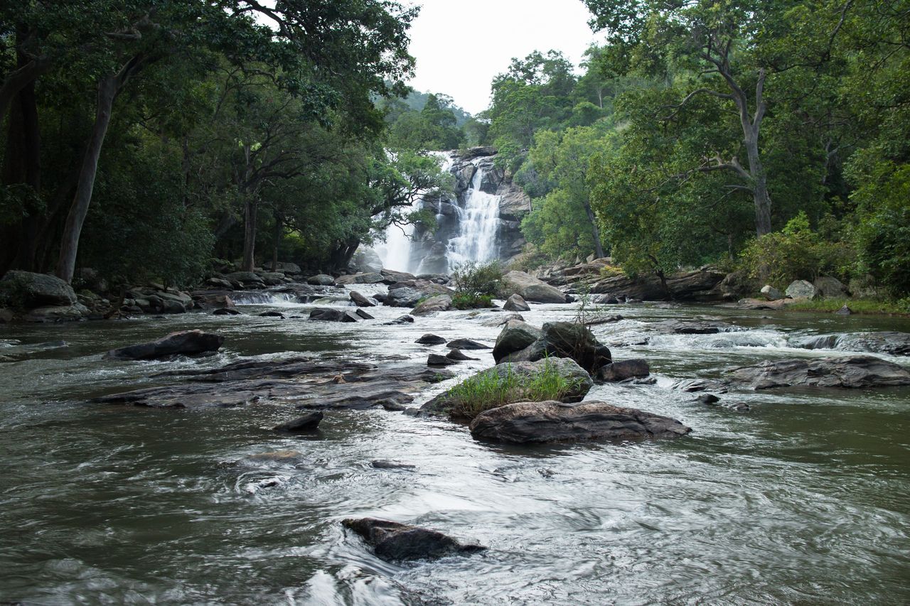 Waterfalls in the Chinnar Wildlife Sanctuary