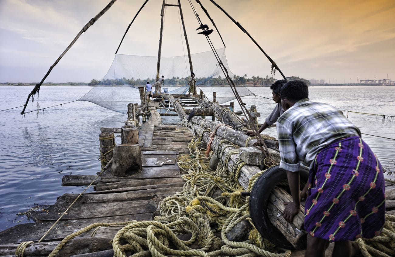 Kochi where a Fisherman operates a Chinese fishing net