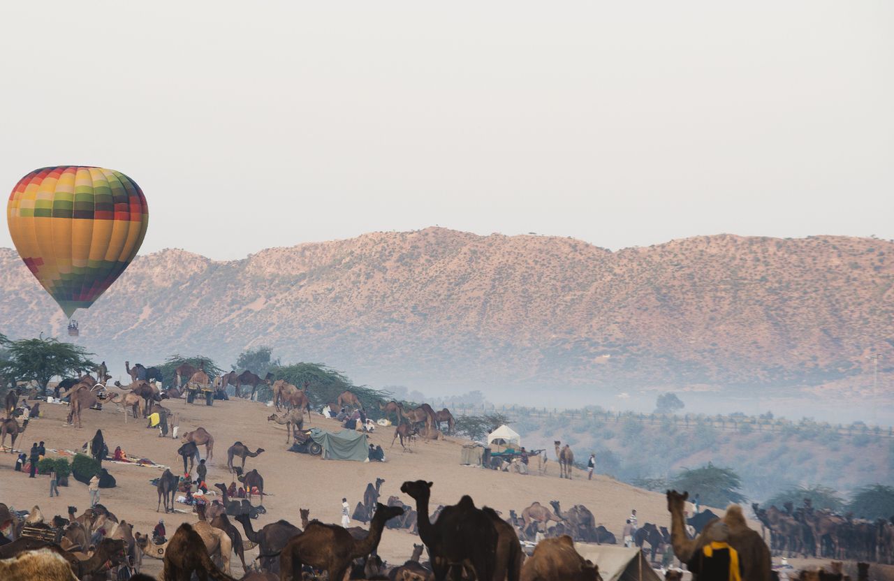 Hot-air-balloon-over-Pushkar