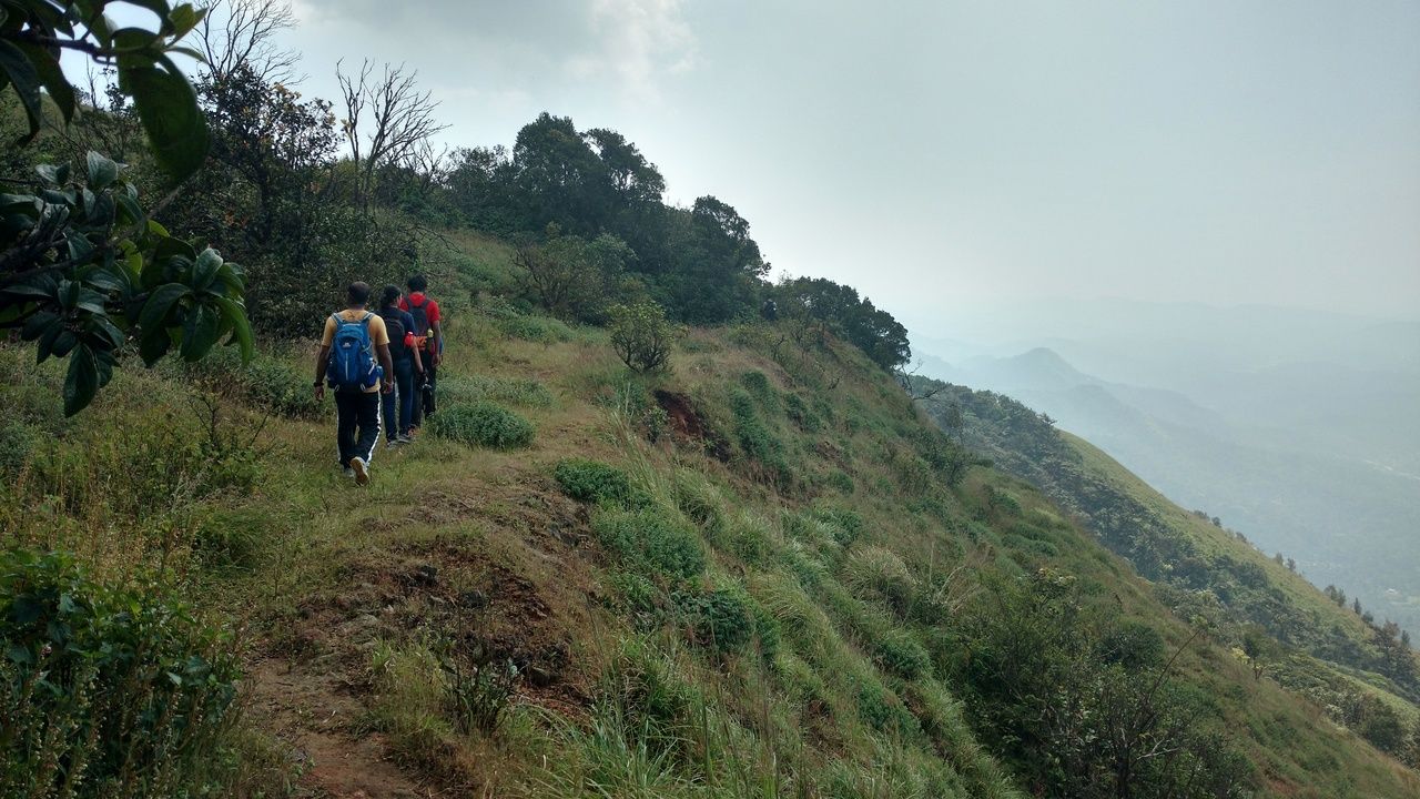 Trekking in Nishani Motte Wildlife in Coorg