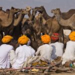 pushkar camel fair largest in the world