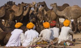 The Pushkar Fair – Camels, People, Colors, Culture and More