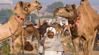 vikram travels north india tour packages