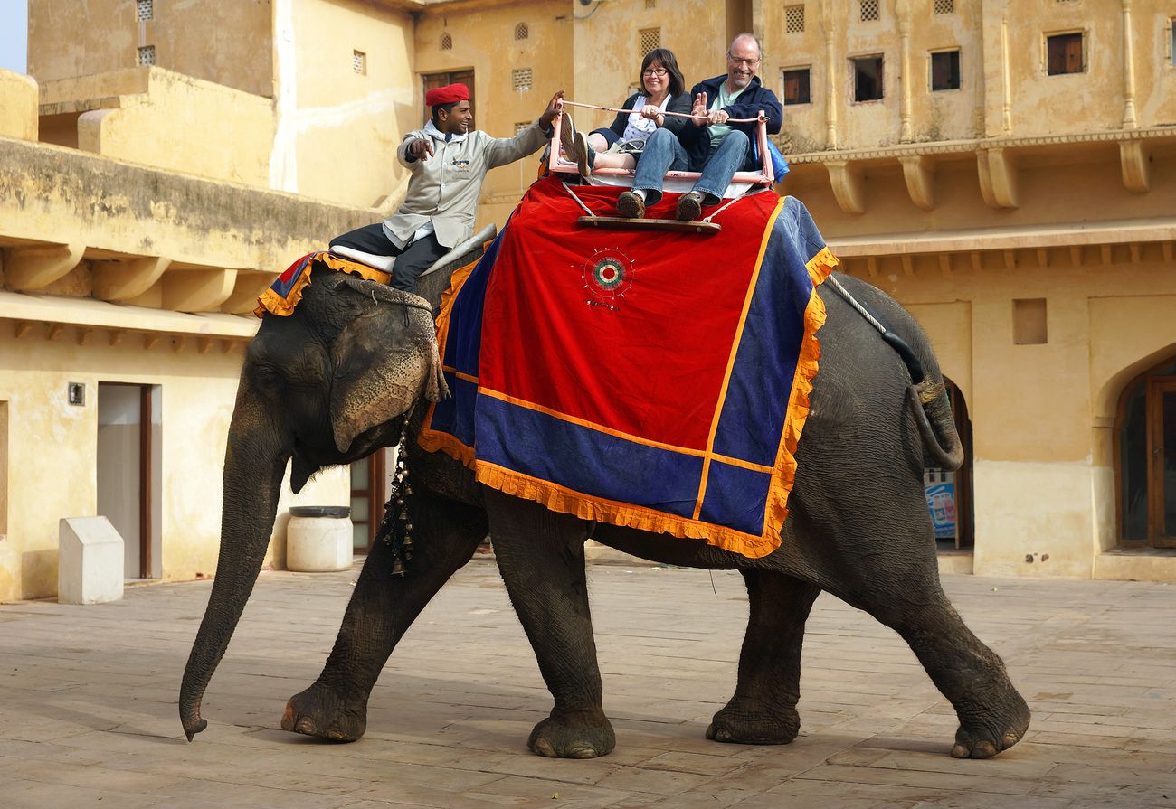 elephant ride amer fort jaipur tips