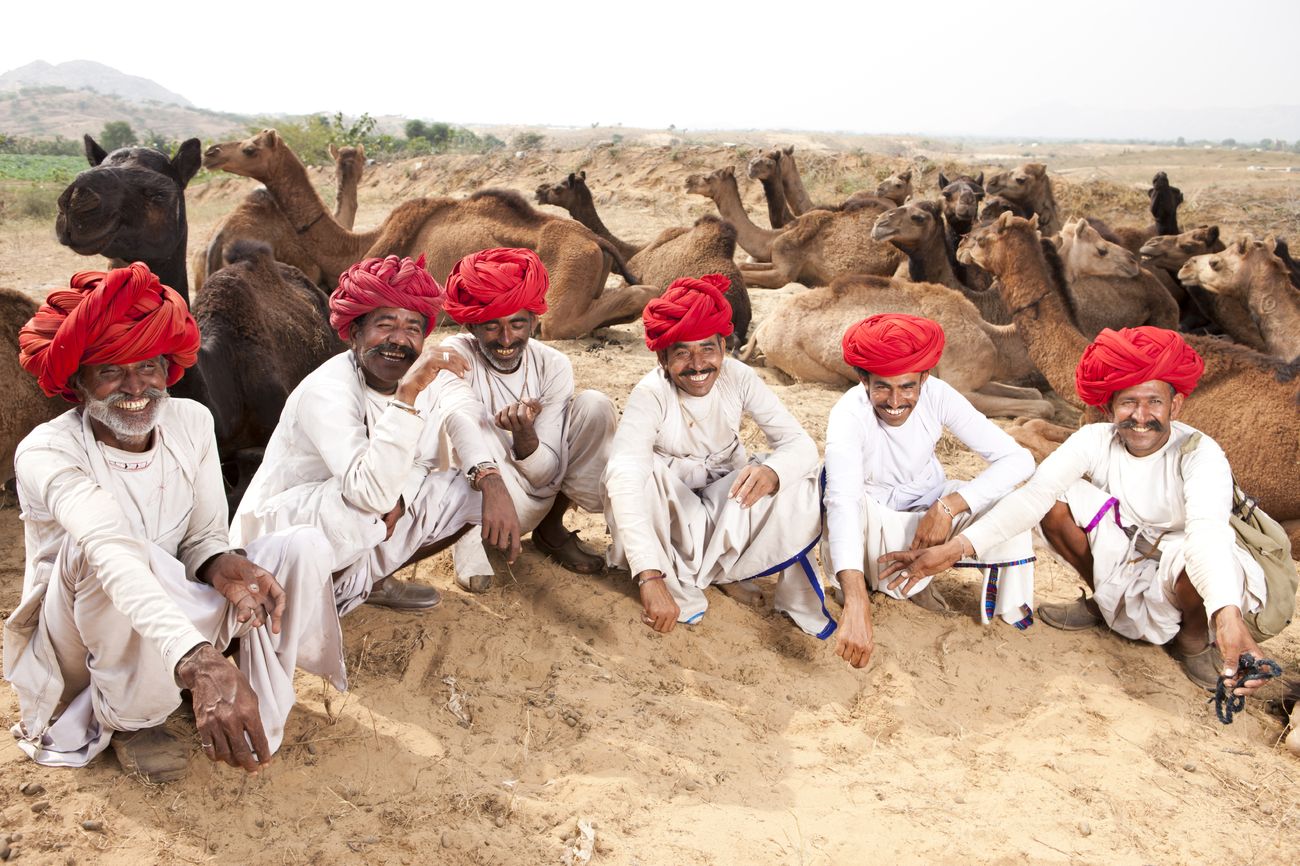 pushkar camel fair guide india